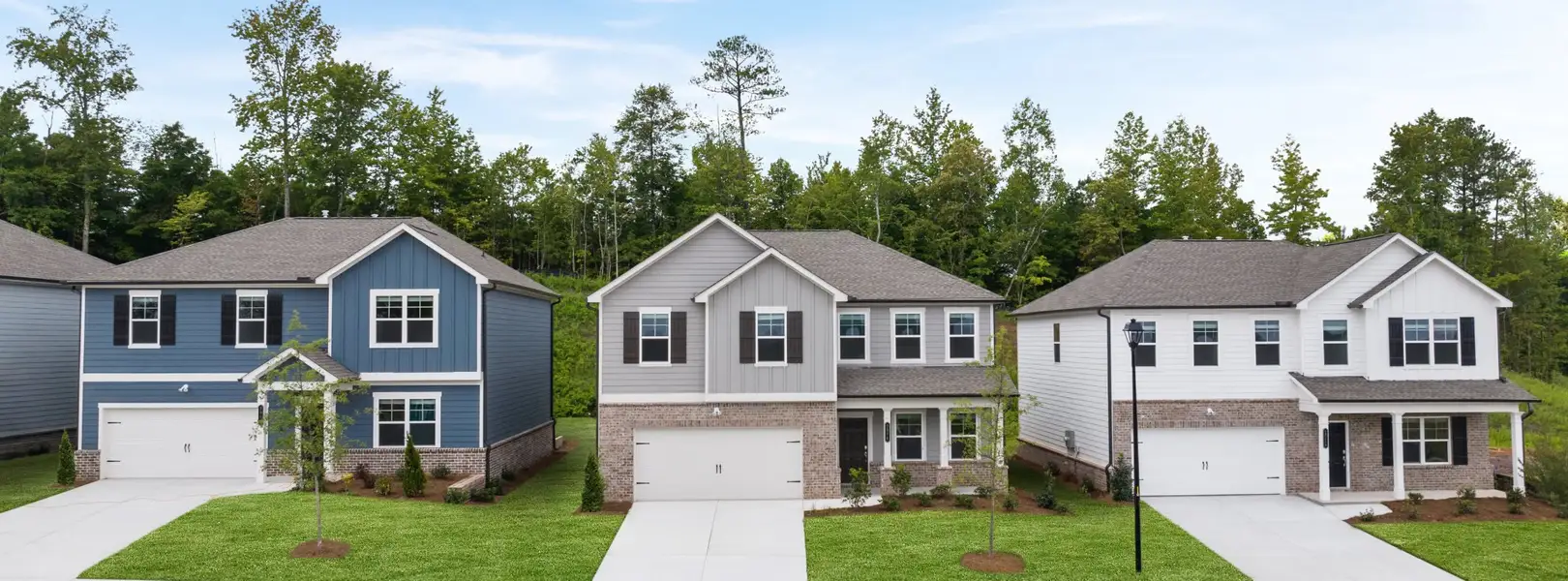 Timber Ridge Community