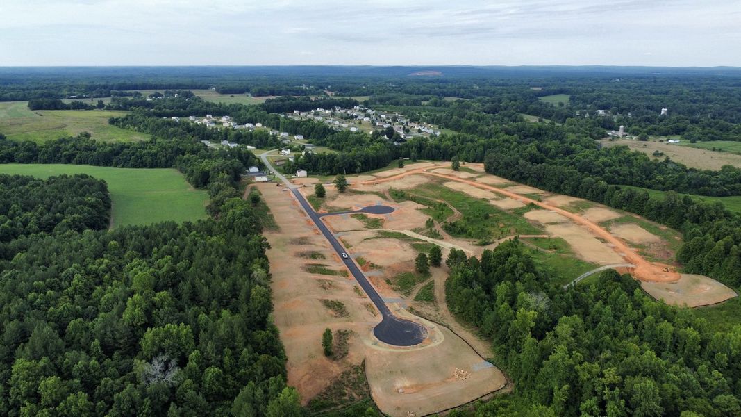 A road with trees and roads.