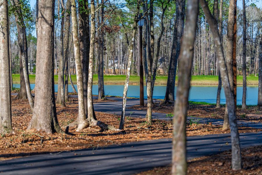 Walking Trails