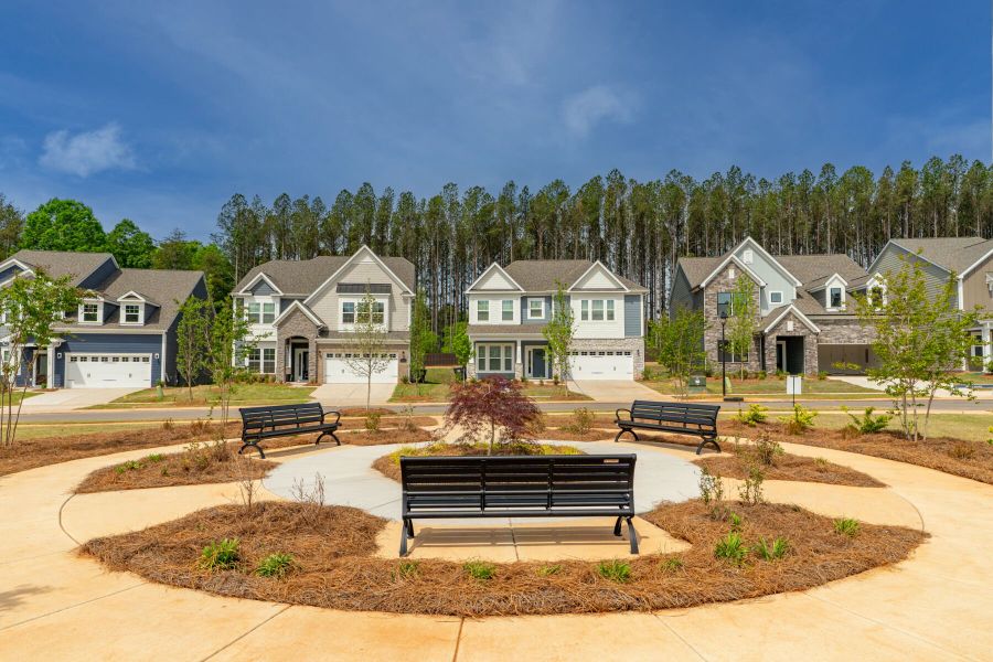 Streetscape Streetscape