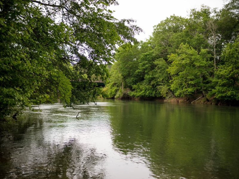 Natural surroundings and green spaces near Ward's Crossing in Johns Creek, GA (Image 17). Natural surroundings and green spaces near Ward's Crossing in Johns Creek, GA (Image 17).