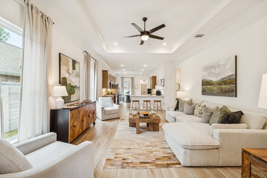 Two Step Farm - DSLD Homes - Montgomery, TX - Ravine II B - Living Room