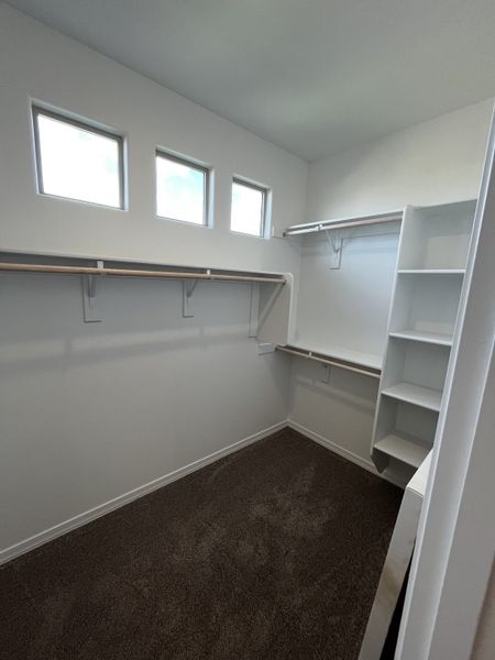 Spacious walk-in closet with carpet flooring, white shelving, and small windows providing natural light for a fresh look.