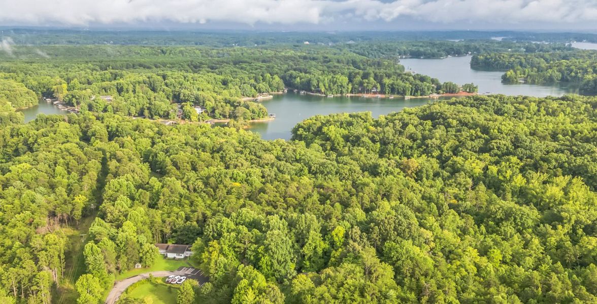 Shannon Woods Shannon Woods