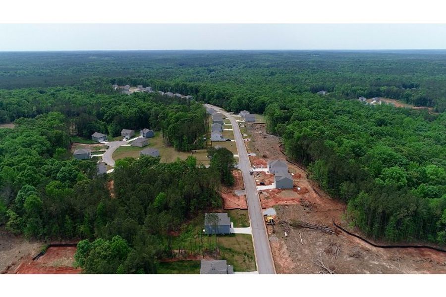 A road with trees and buildings. A road with trees and buildings.