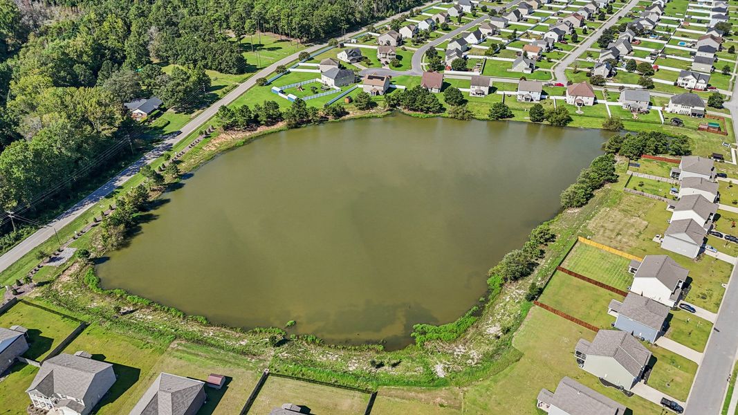 Image 69 of the Southbridge community in Sumter, SC.