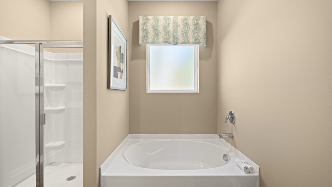 Image 24 of the WillowBrook community in Winder, GA.