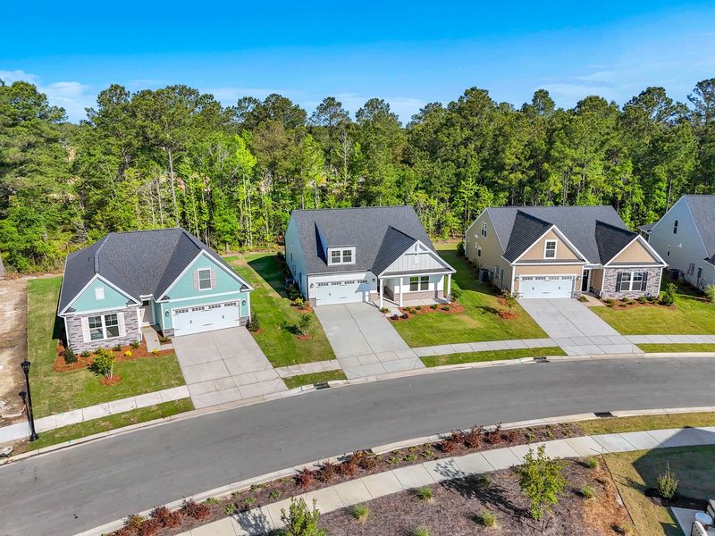 Aerial view of the Trestle Ridge at Brunswick Forest community in Leland, NC, showing layout and nearby surroundings (Image 15). Aerial view of the Trestle Ridge at Brunswick Forest community in Leland, NC, showing layout and nearby surroundings (Image 15).