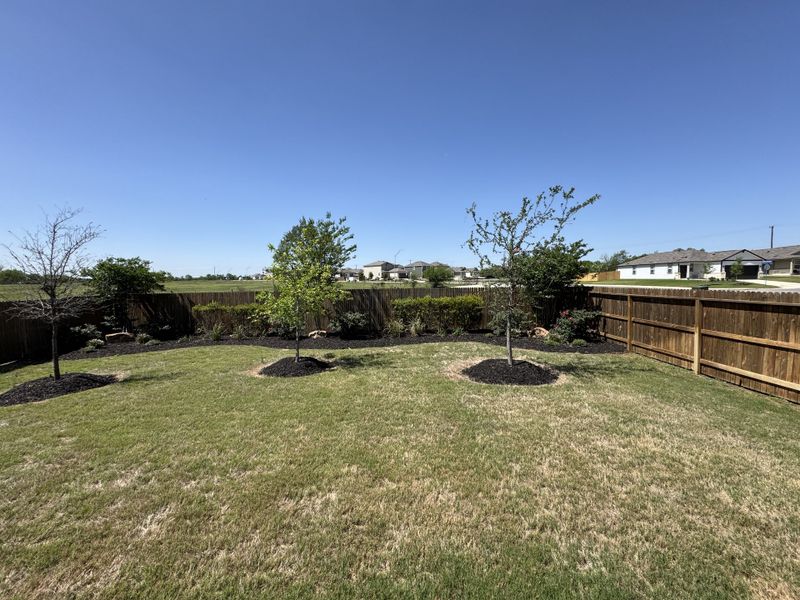 A lush backyard with young trees and a wooden fence in Blue Ridge Ranch by Legend Homes (San Antonio, TX).