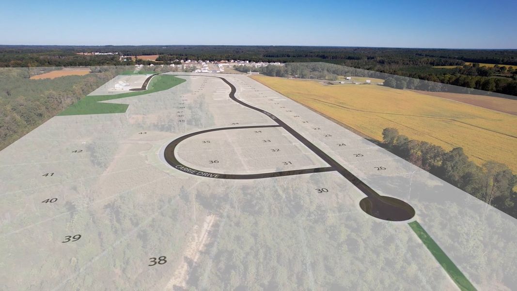Site preparation and early development at Leander Lee Preserve in Lillington, NC (Image 28). Site preparation and early development at Leander Lee Preserve in Lillington, NC (Image 28).