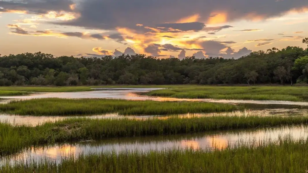 Natural surroundings and green spaces near The Sanctuary at East Argent in Ridgeland, SC (Image 9).
