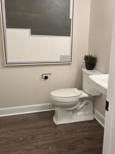 A modern bathroom featuring a sleek toilet, wood-look flooring, minimalist artwork, and a small potted plant.