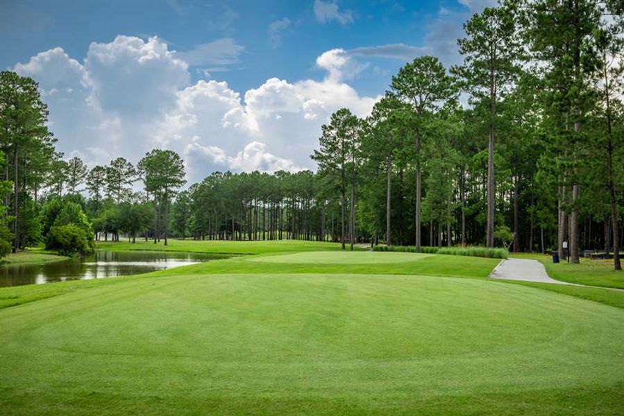 Image 12 of the Cobblestone at East Argent community in Hardeeville, SC.