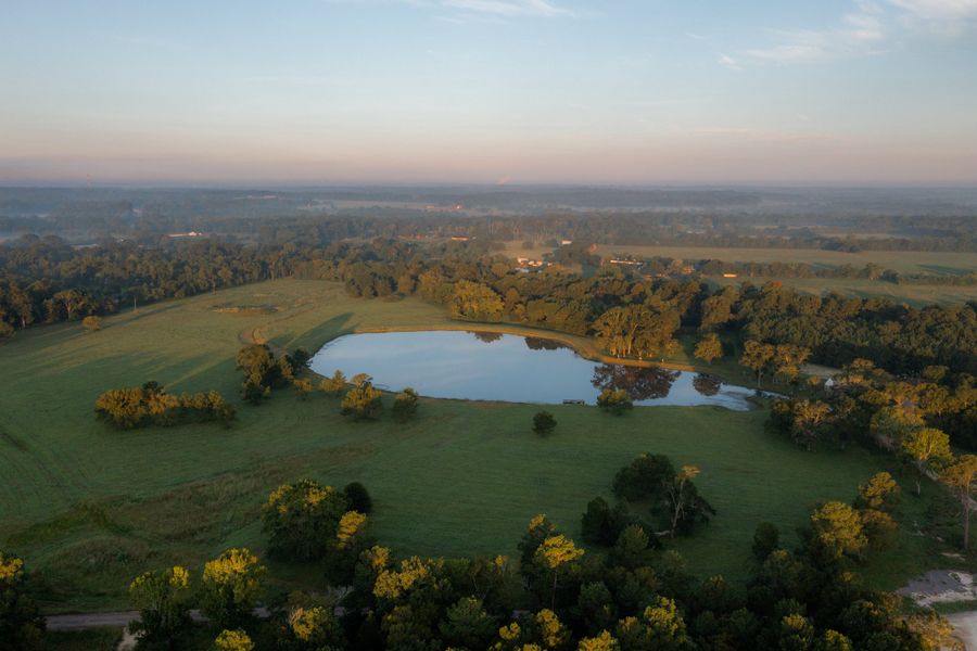 Natural surroundings and green spaces near Republic Grand Ranch in Willis, TX (Image 4).