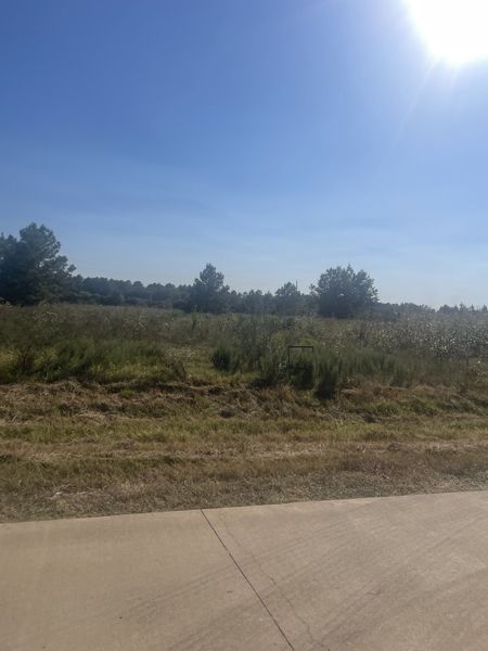 A sprawling, serene landscape in Tealpointe Lake Estates by Jamestown Estate Homes, Tomball, TX, under a bright blue sky.