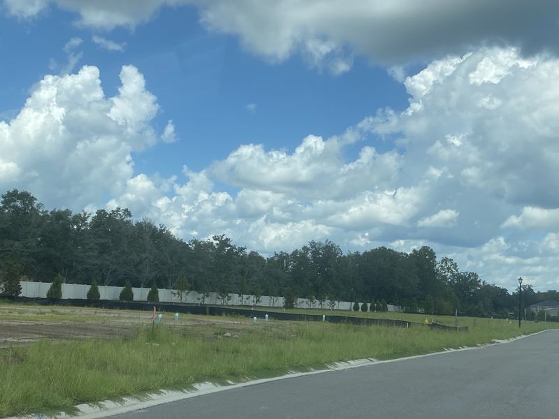 A scenic street view in Briarwood by D.R. Horton, showcasing open skies and lush greenery in Jacksonville, FL. A scenic street view in Briarwood by D.R. Horton, showcasing open skies and lush greenery in Jacksonville, FL.