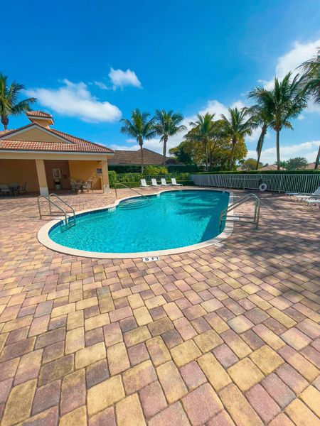 Neighborhood Pool | The Falls at Grand Harbor:Neighborhood Pool | The Falls at Grand Harbor Neighborhood Pool | The Falls at Grand Harbor:Neighborhood Pool | The Falls at Grand Harbor