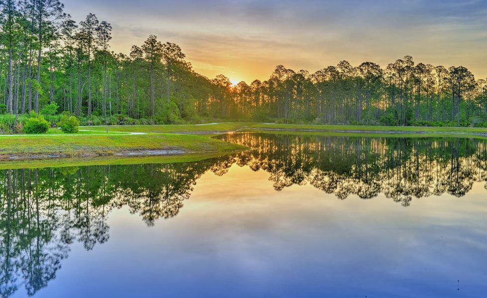 Natural surroundings and green spaces near Woodhaven in Port Orange, FL (Image 42). Natural surroundings and green spaces near Woodhaven in Port Orange, FL (Image 42).