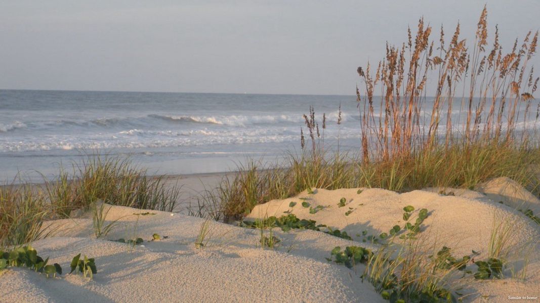 Natural surroundings and green spaces near Lockwood Landing in Supply, NC (Image 22). Natural surroundings and green spaces near Lockwood Landing in Supply, NC (Image 22).