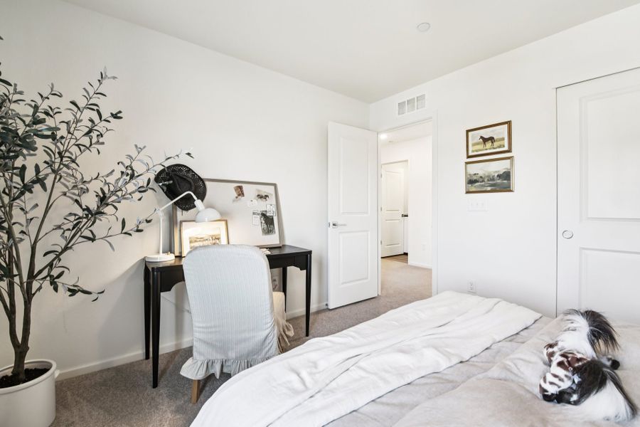 Furnished interior in a model home at Timnath Ranch Townhomes in Timnath (Image 25).