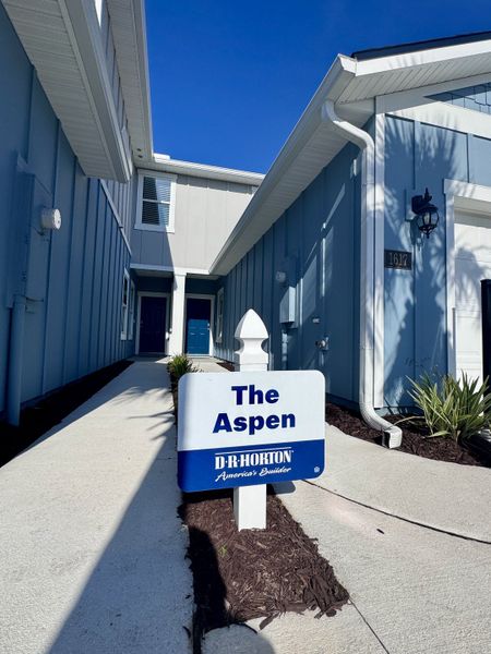 Charming blue home in Corsair by D.R. Horton, featuring a modern facade and pathway in Middleburg, FL.