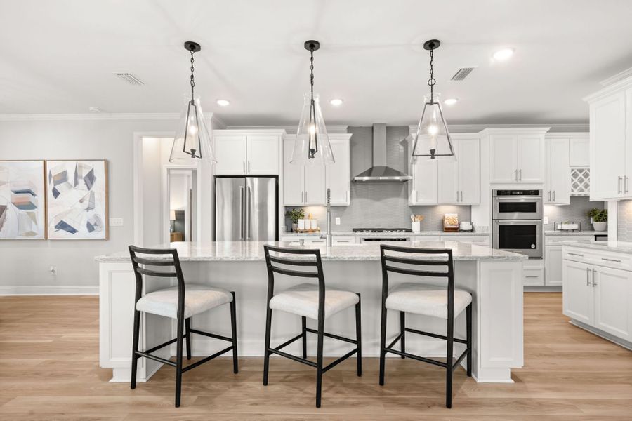 Renown Model Kitchen Renown Model Kitchen