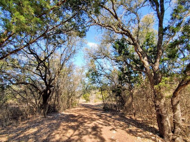 Natural surroundings and green spaces near Parkside Peninsula in Leander, TX (Image 35).