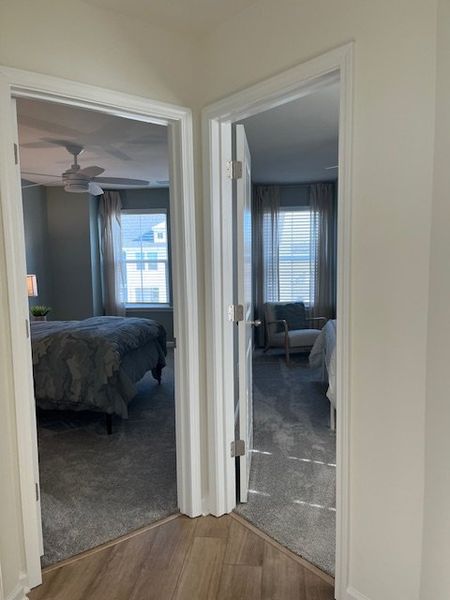 A cozy interior view featuring two sunlit bedrooms with carpeted floors and elegant window treatments.