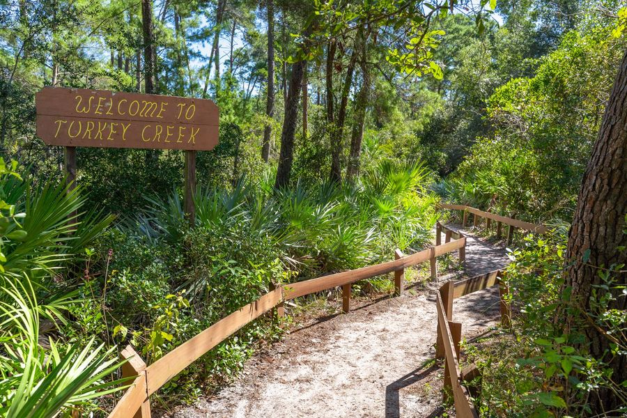 Nature walks around the corner