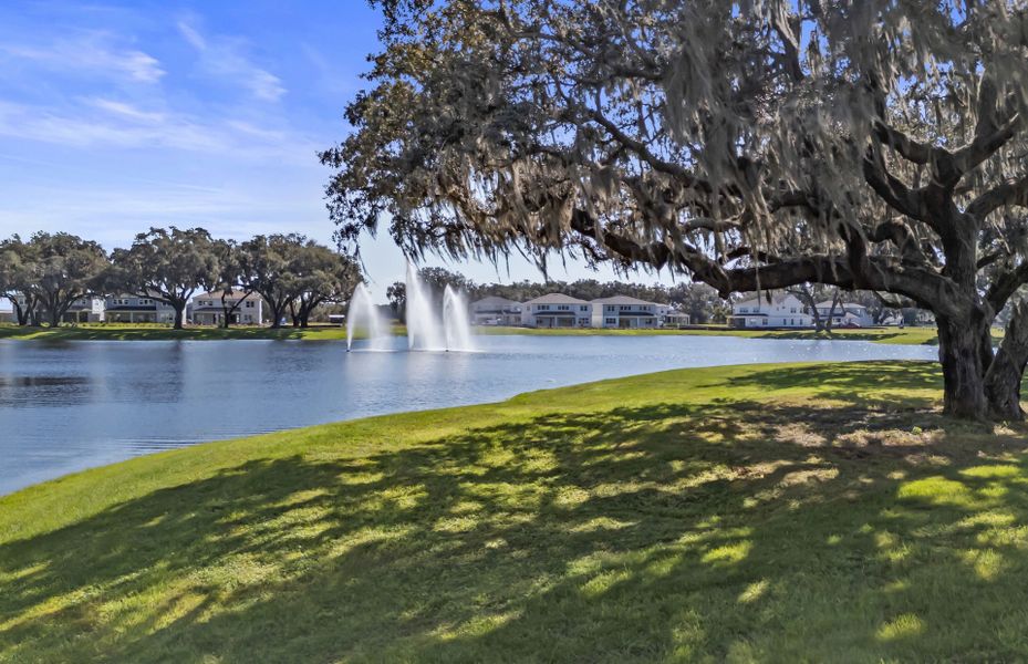 Stunning Community Design