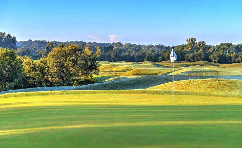 Natural surroundings and green spaces near Home & Homesite Packages in Ocala, FL (Image 14).
