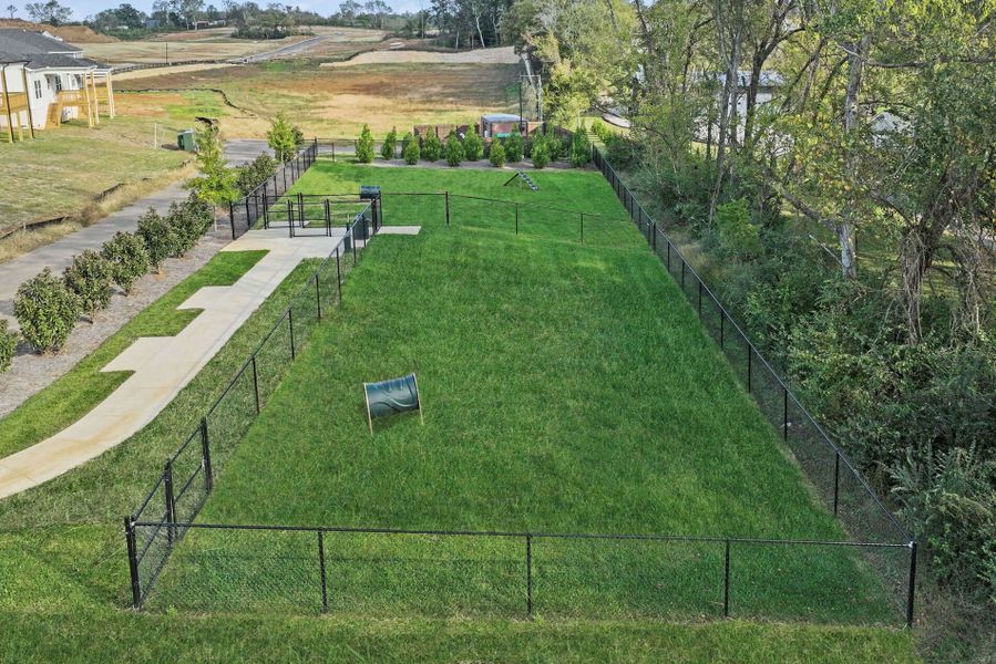 Community Dog Park Community Dog Park