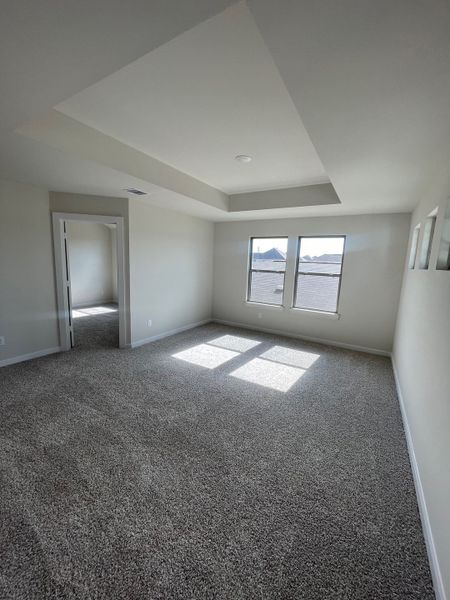 A bright bedroom featuring plush carpet, tray ceiling, and large windows letting in ample natural light.