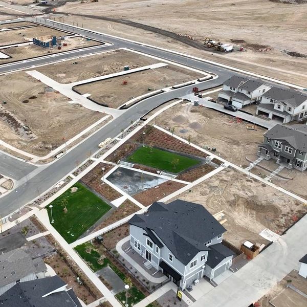 Neighborhood