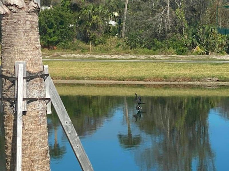 Natural surroundings and green spaces near The Strand in Vero Beach, FL (Image 106).
