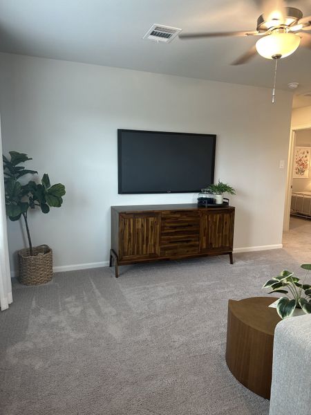 A cozy living area featuring a sleek TV stand, plush carpet, and stylish green plants for a fresh touch.