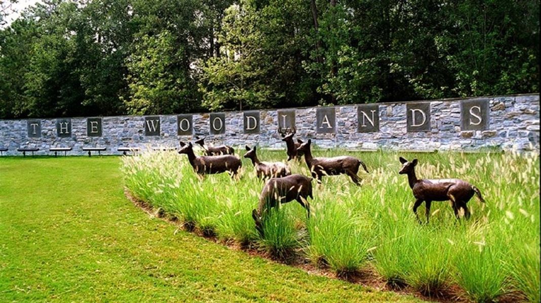 Image 6 of the The Woodlands, The VUE at East Shore - Darling community in Walnut Springs, TX.