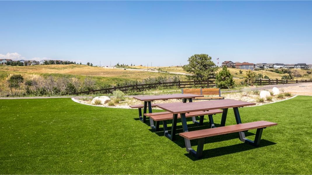 Macanta picnic area amenity