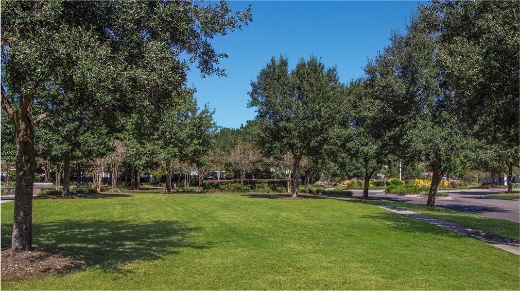 Carnes Crossroads Amenity Picnic Area