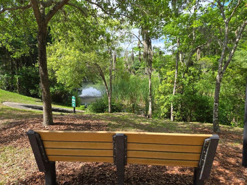 Landing at Olde Florida Bench and Pond Area
