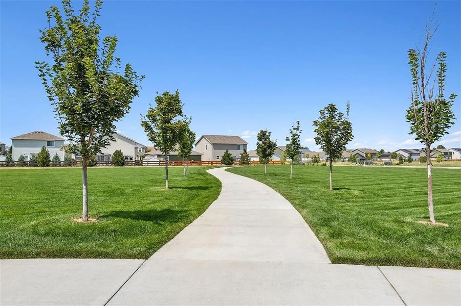 Hidden Creek New Homes in Frederick, CO. - Slide 53 Hidden Creek New Homes in Frederick, CO. - Slide 53