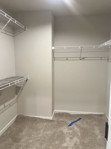 A spacious closet featuring white wire shelving and plush carpet, perfect for organized storage and easy accessibility.