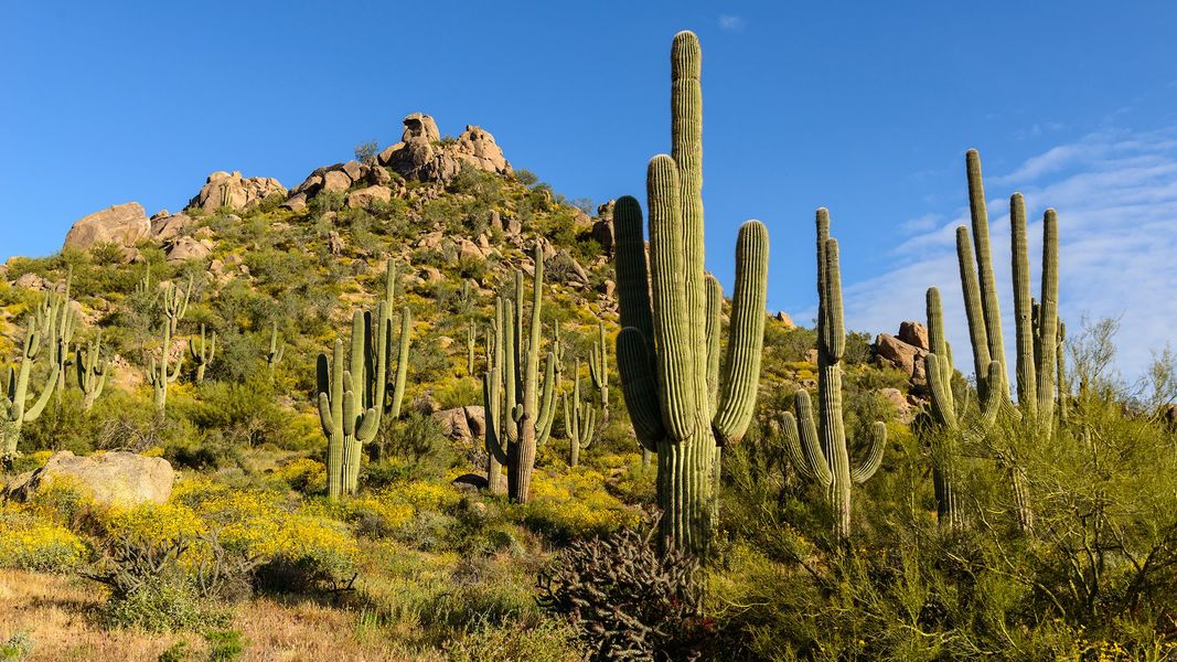 Pic Sonoran Mountain
