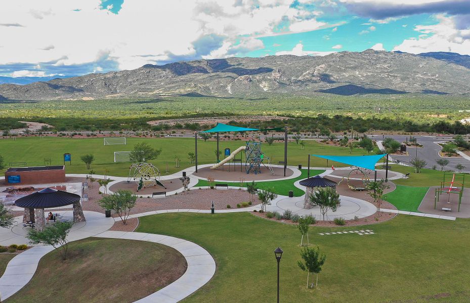 Impressive Amenities