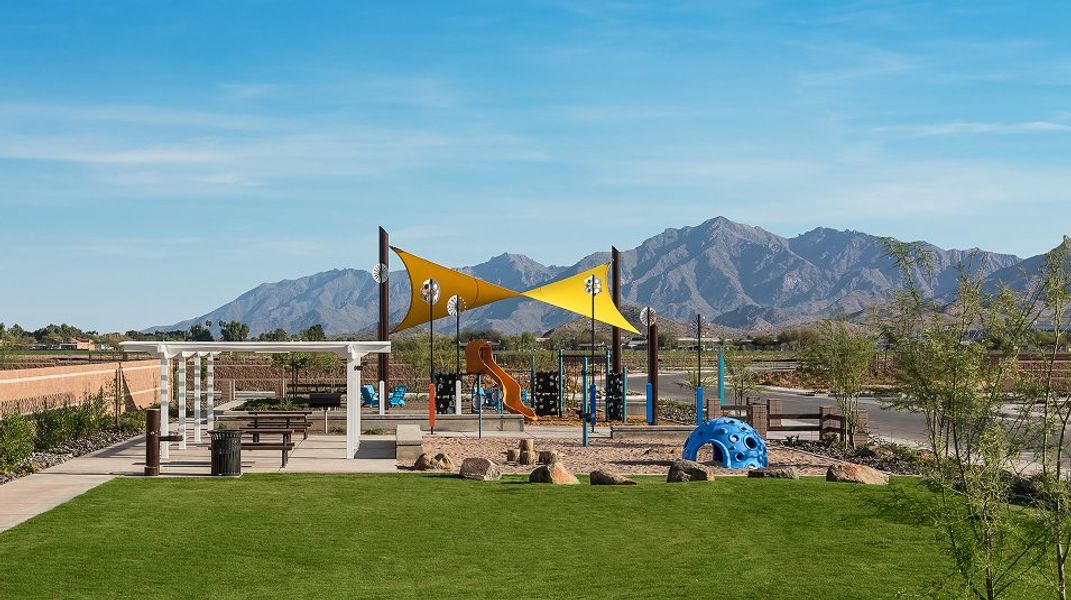 Alamar Discovery Amenity Playground Picnic Area Greenbelt