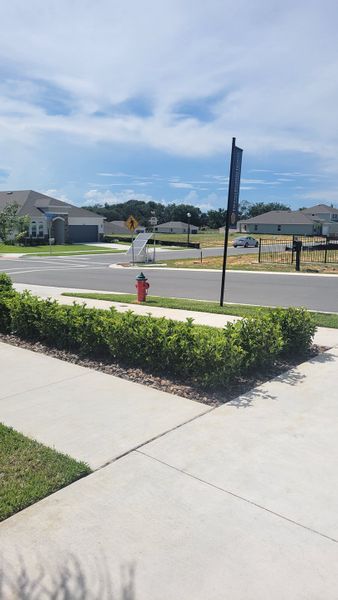 A scenic street view with modern homes in Seaport Village by Dream Finders Homes, Tavares, FL. A scenic street view with modern homes in Seaport Village by Dream Finders Homes, Tavares, FL.