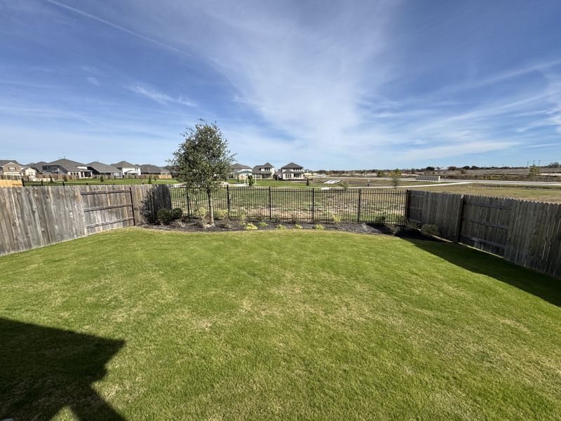 Spacious backyard with lush grass and open views in Patterson Ranch by Ashton Woods (Georgetown, TX). Spacious backyard with lush grass and open views in Patterson Ranch by Ashton Woods (Georgetown, TX).