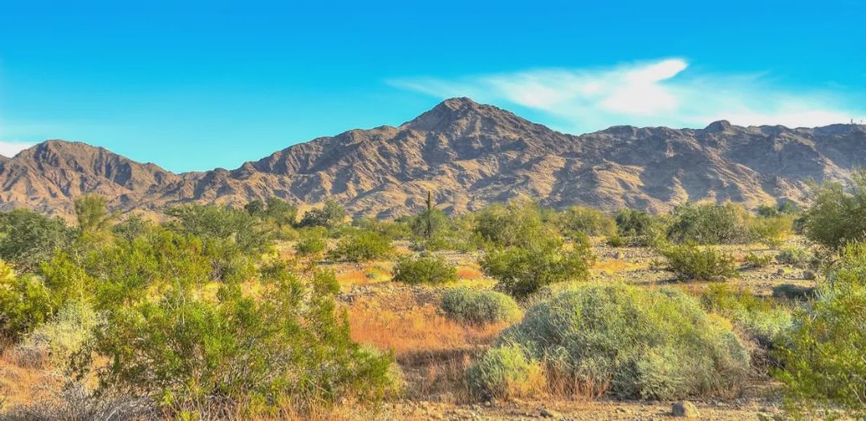 Natural surroundings and green spaces near Las Barrancas in Yuma, AZ (Image 7).