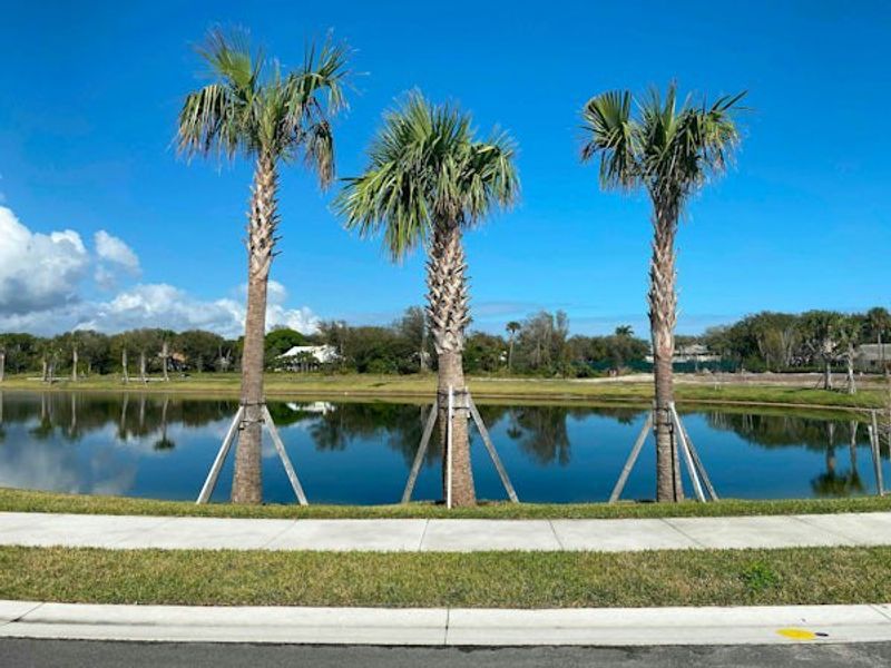 Natural surroundings and green spaces near The Strand in Vero Beach, FL (Image 105).