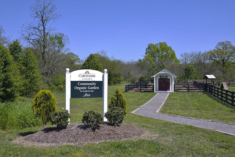 Community Garden